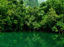 荔波的绿色恋歌 如一幅天然的绿色画卷